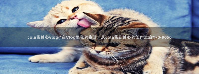 糖心vlog黄色网站