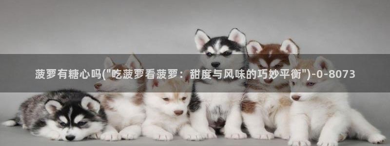 糖心vlog破解视频
