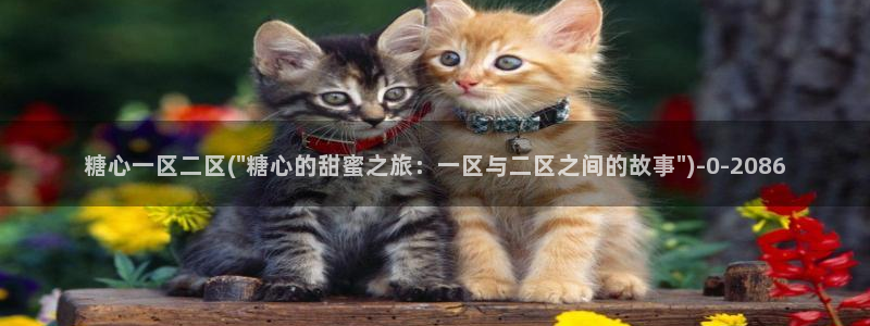 糖心vlog下载软件