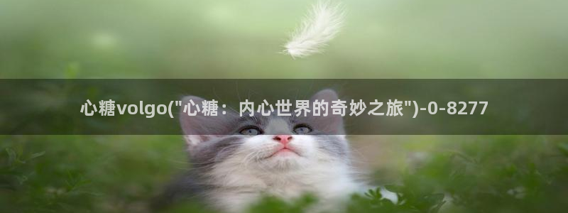 糖心vlog色破解版