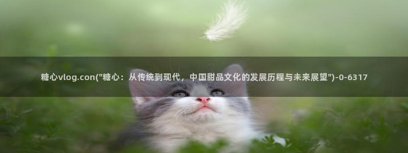 糖心vlog传媒网址