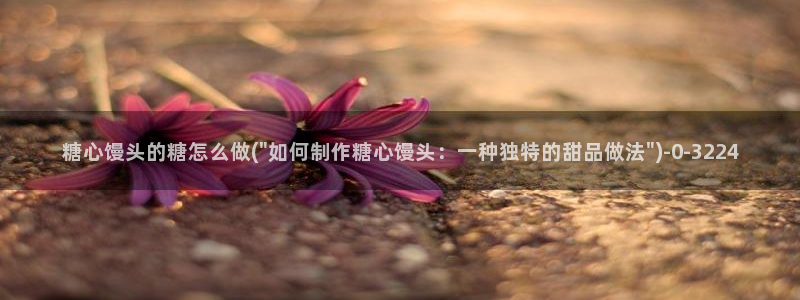 心糖vlog视频