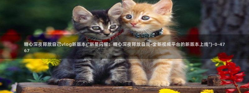 糖vlog日常