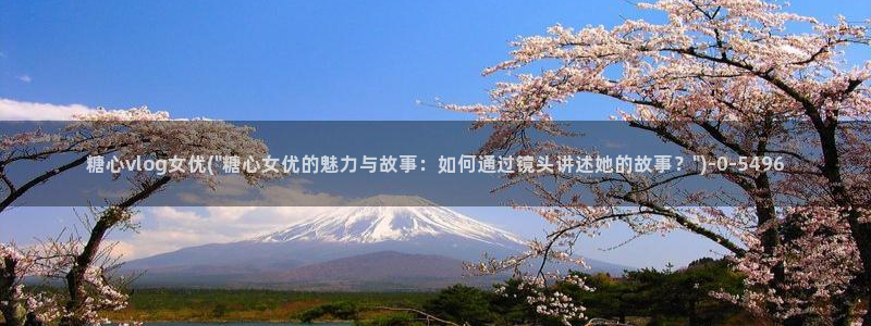 vlog糖心网站