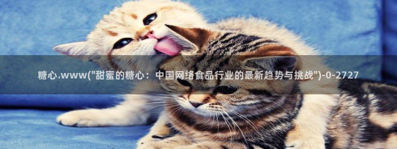 糖心vlog小妈