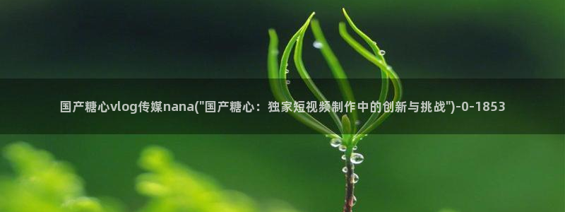 糖心vlog免