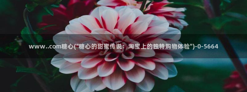 糖心vlog在线观看播放