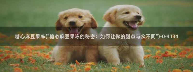 51糖心vlog破解版