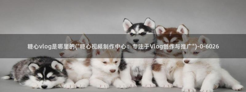 糖心txvlogcom